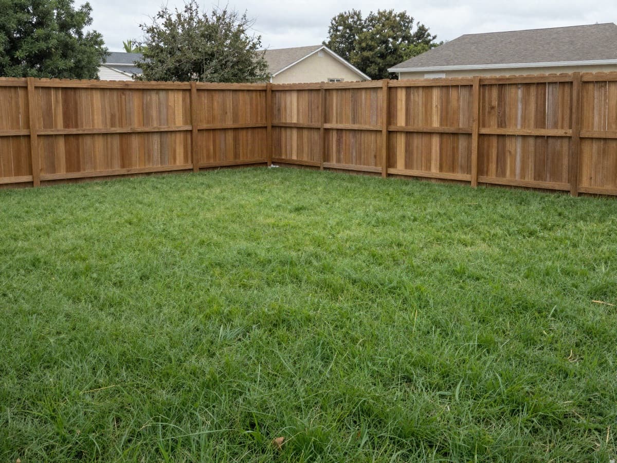 The same backyard lawn cleared of all branches and debris.